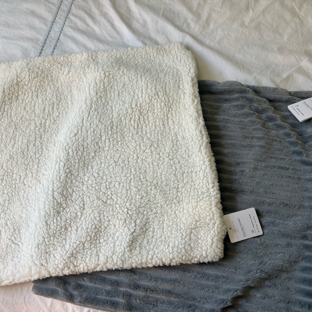 Pottery Barn Ridgeline Pillow Cover 20x20